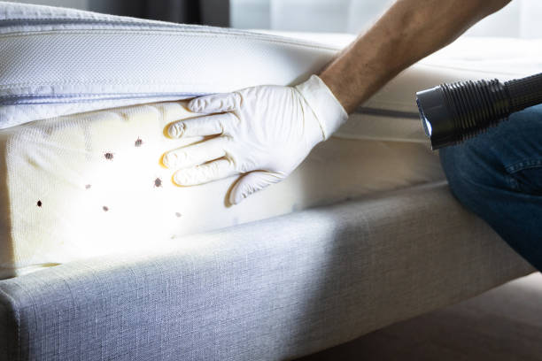 Best Best Pest Control Companies  in Goshen, KY