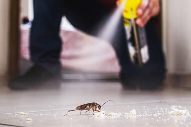 Best Exterminator Services  in Goshen, KY