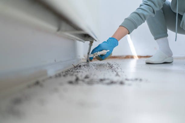 Best Commercial Pest Control Services  in Goshen, KY