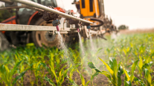 Best Commercial Pest Control Services  in Goshen, KY